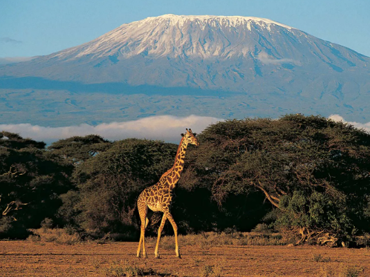 [Imagem do Monte Kilimanjaro]