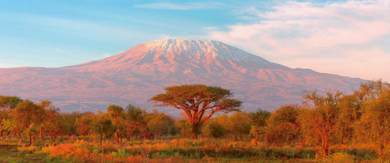 Uhuru Peak