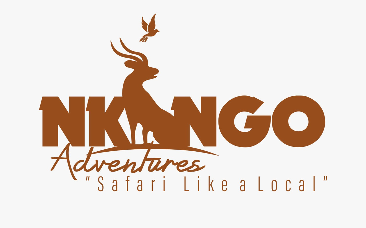 Nkingo Adventures — Safari Like a Local